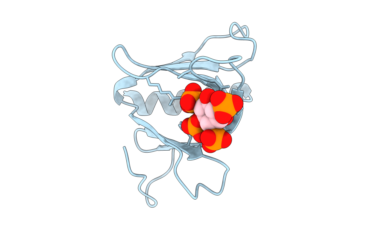 1UPR image