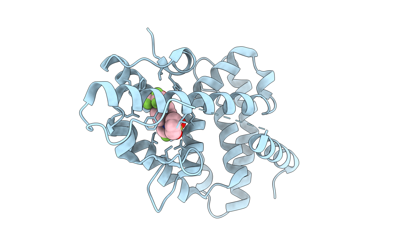1UPV image