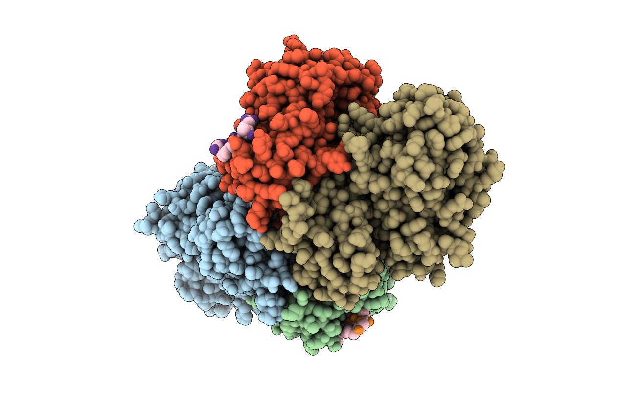 1URC image