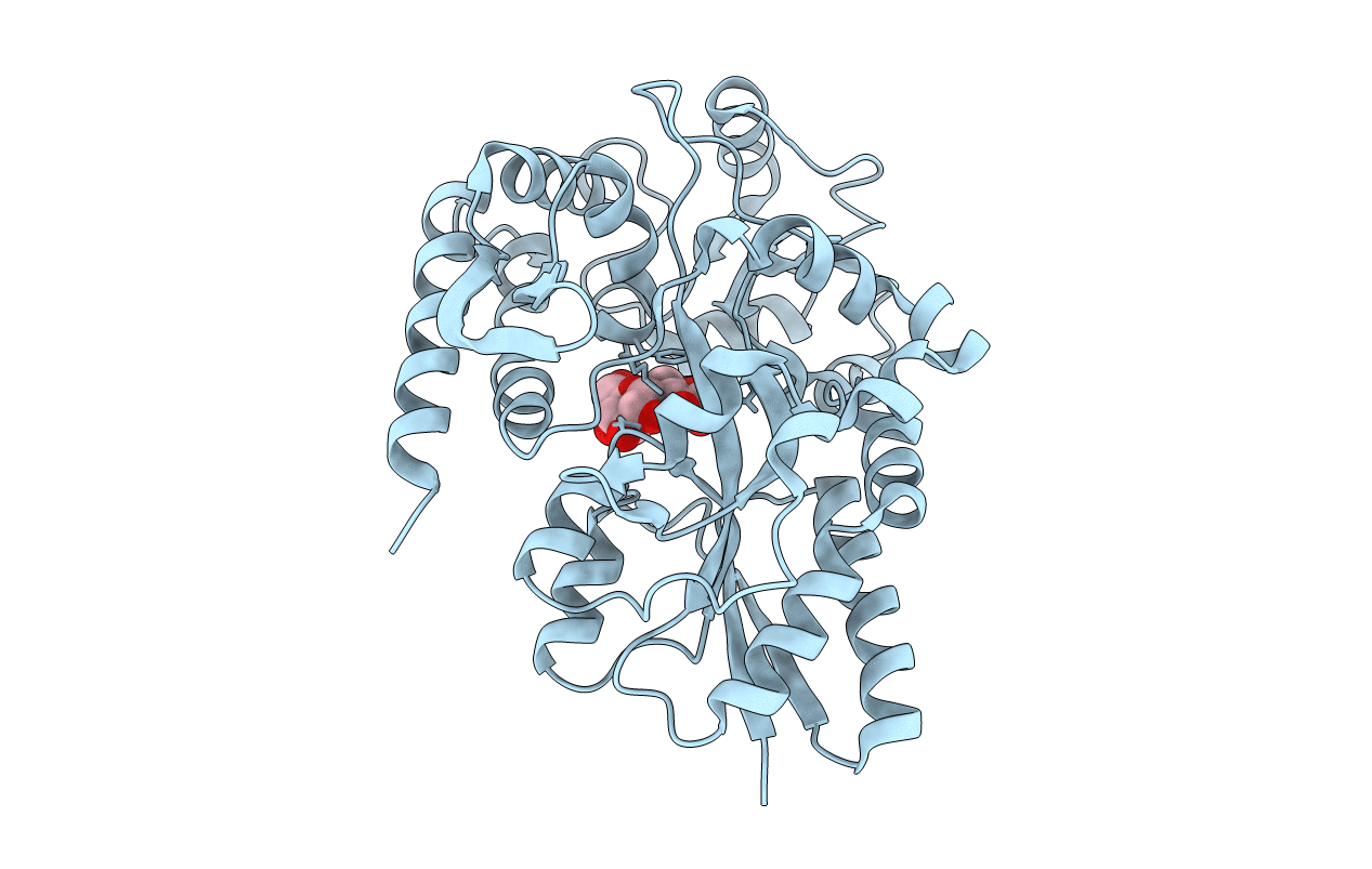 1URG image