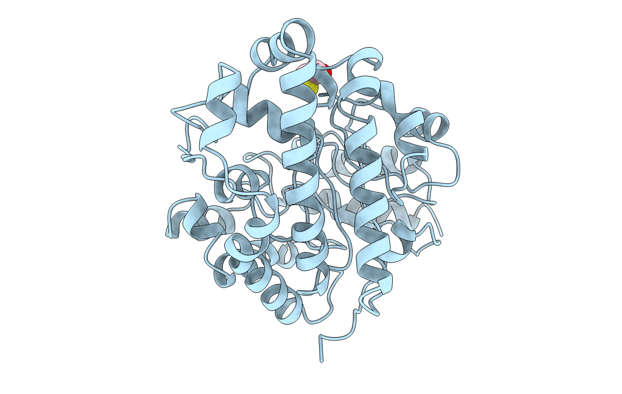 1uro image
