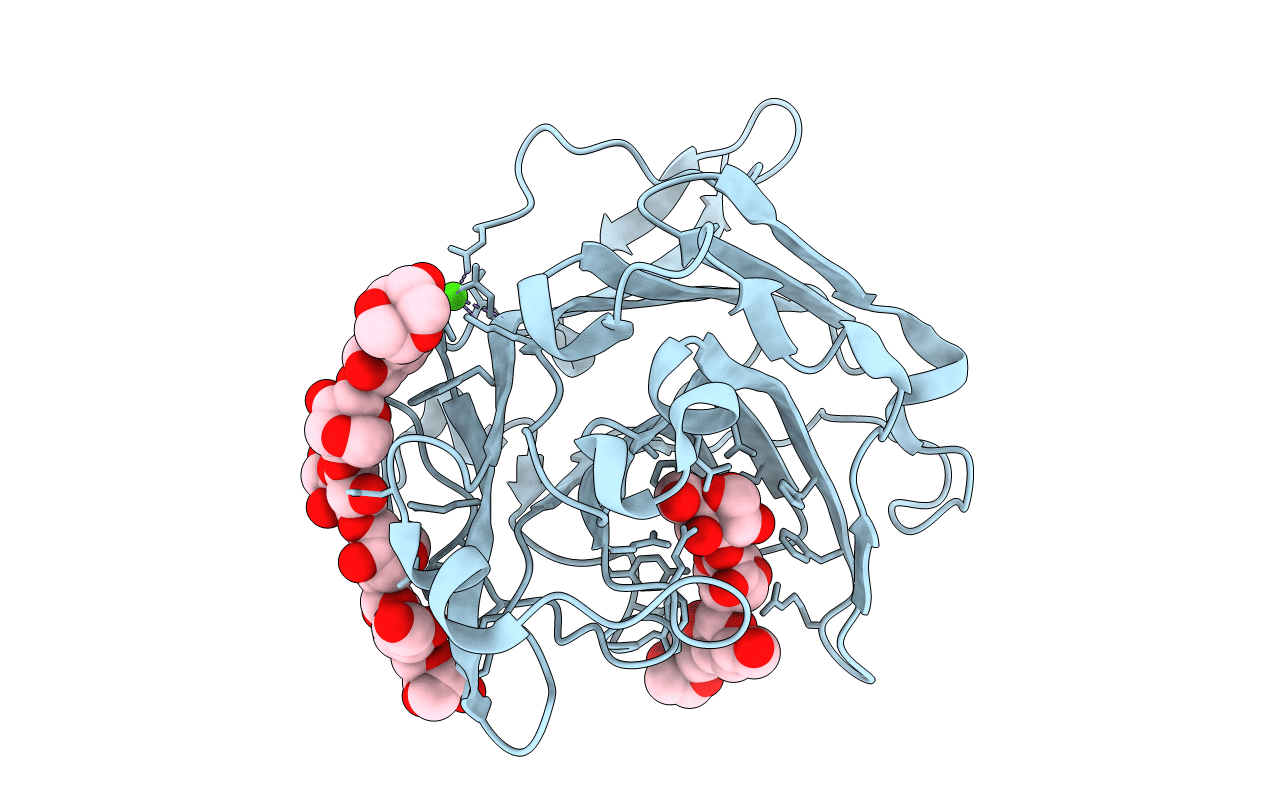 1URX image