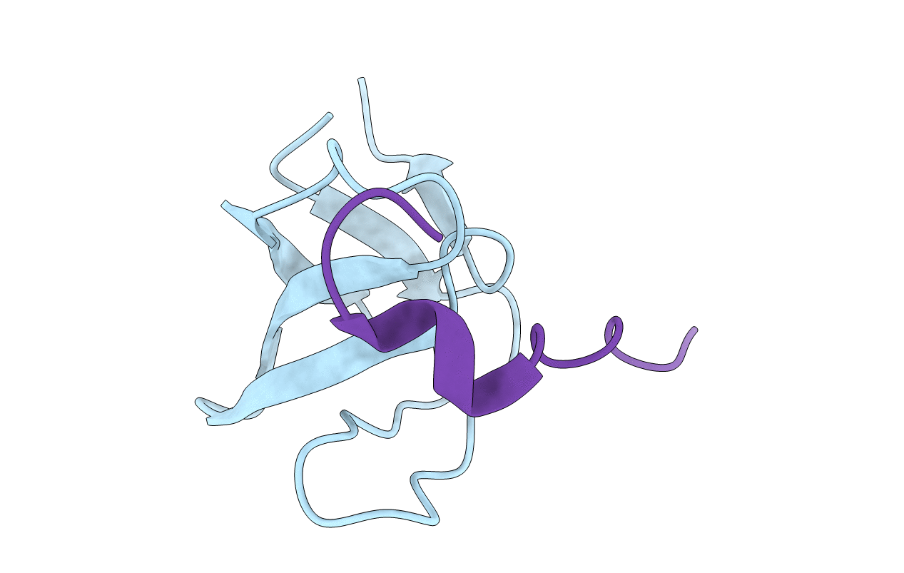 1UTI image