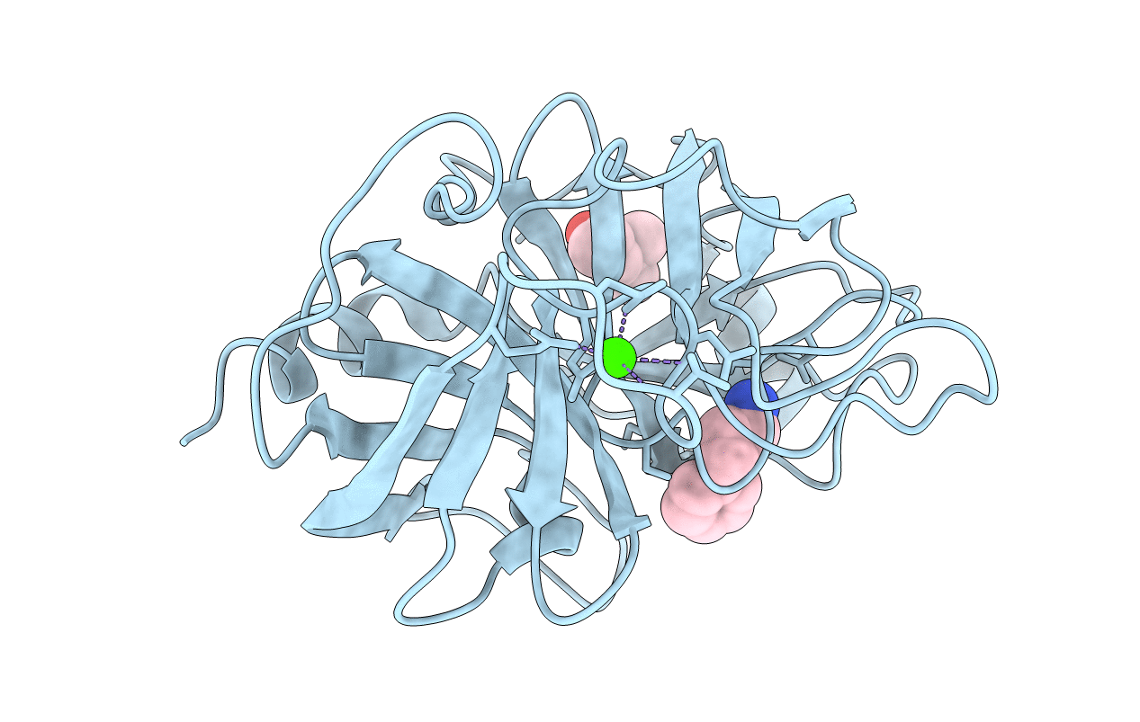 1UTL image