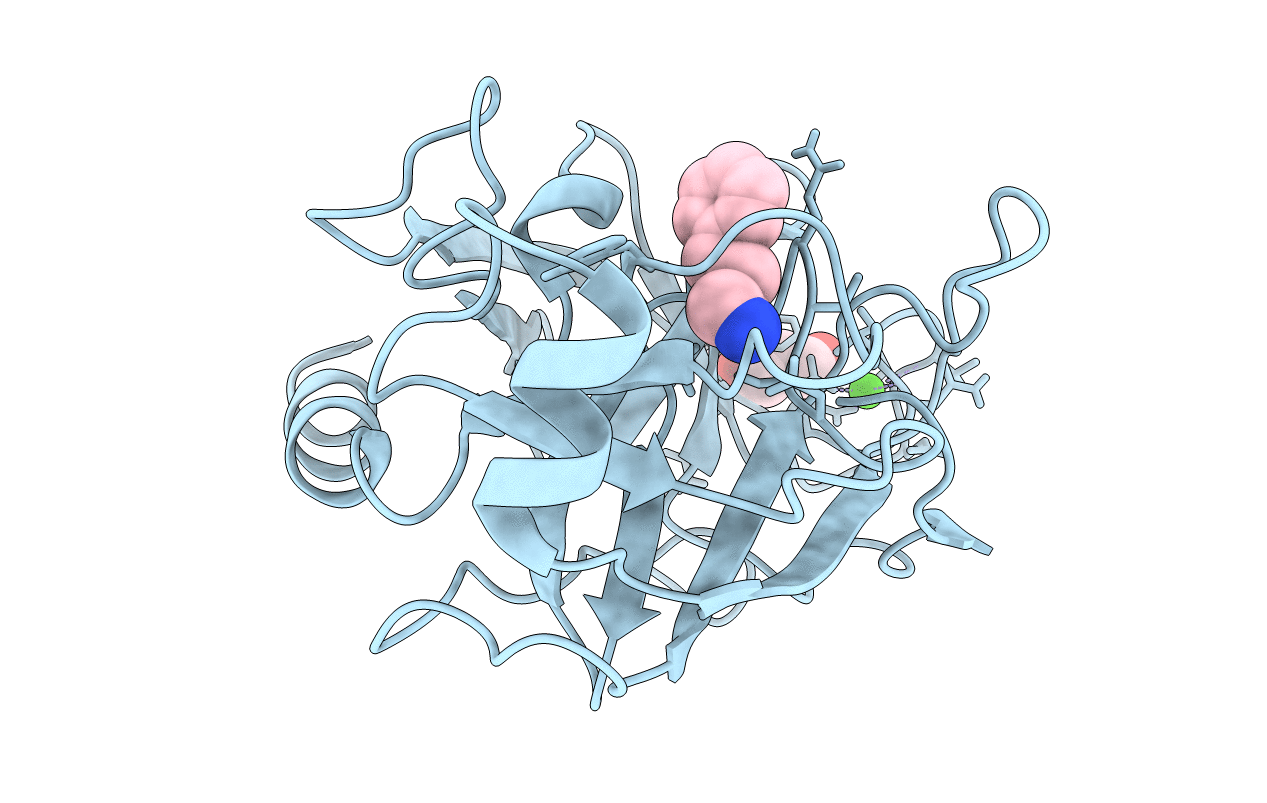 1UTP image