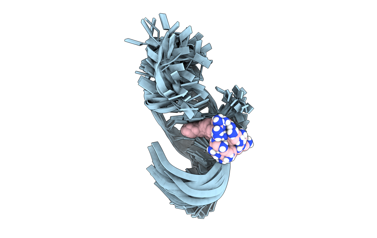 1UTS image