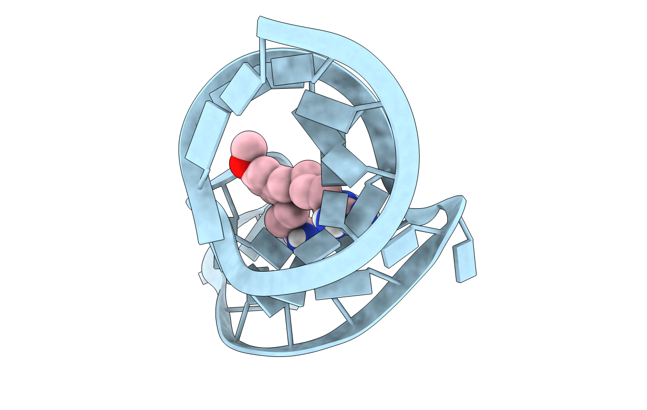 1UUD image