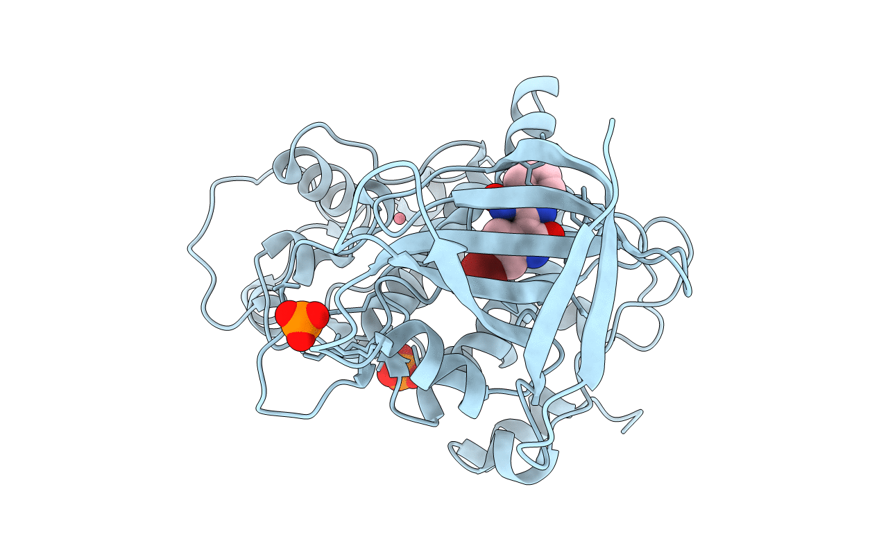 1UV5 image