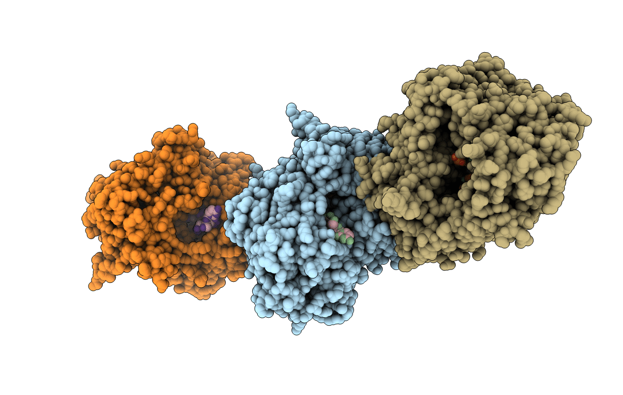 1UVN image