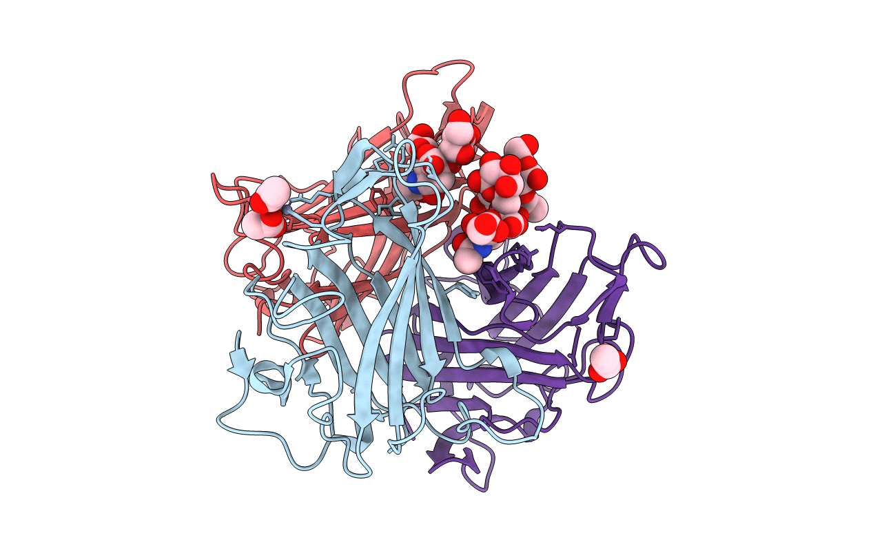 1UXB image