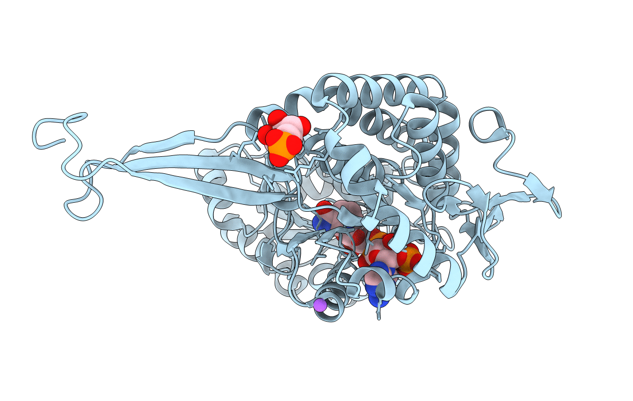1UXR image