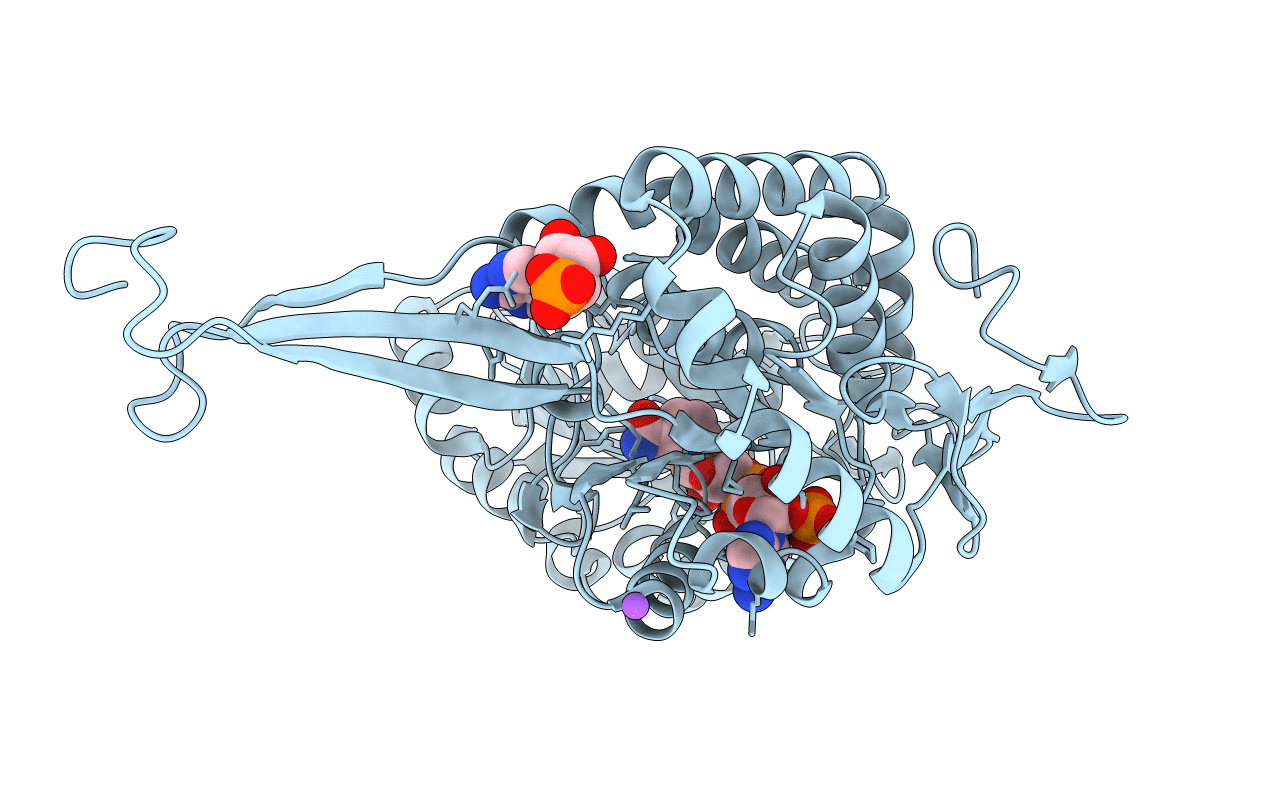 1UXV image