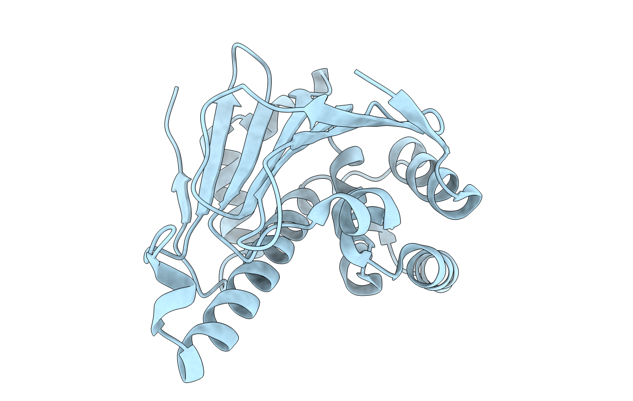 1UYL image