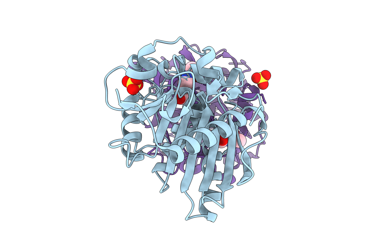 1UZA image