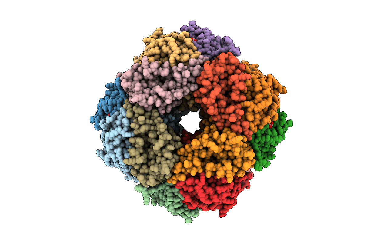 1UZH image