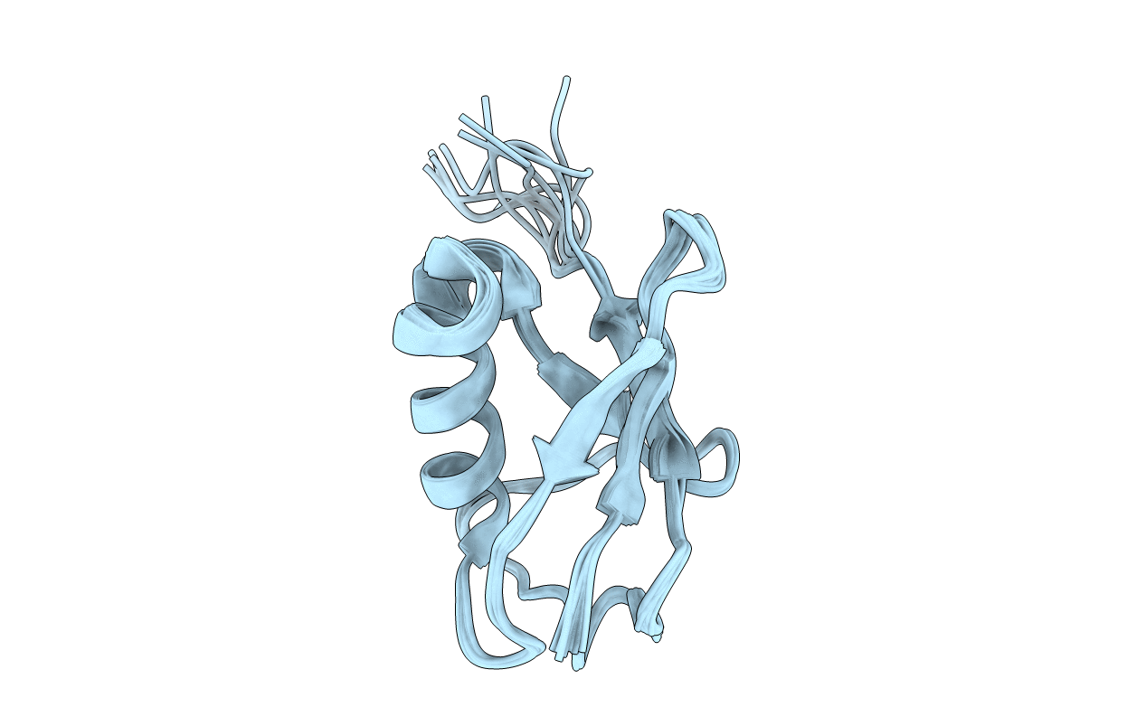 1V80 image