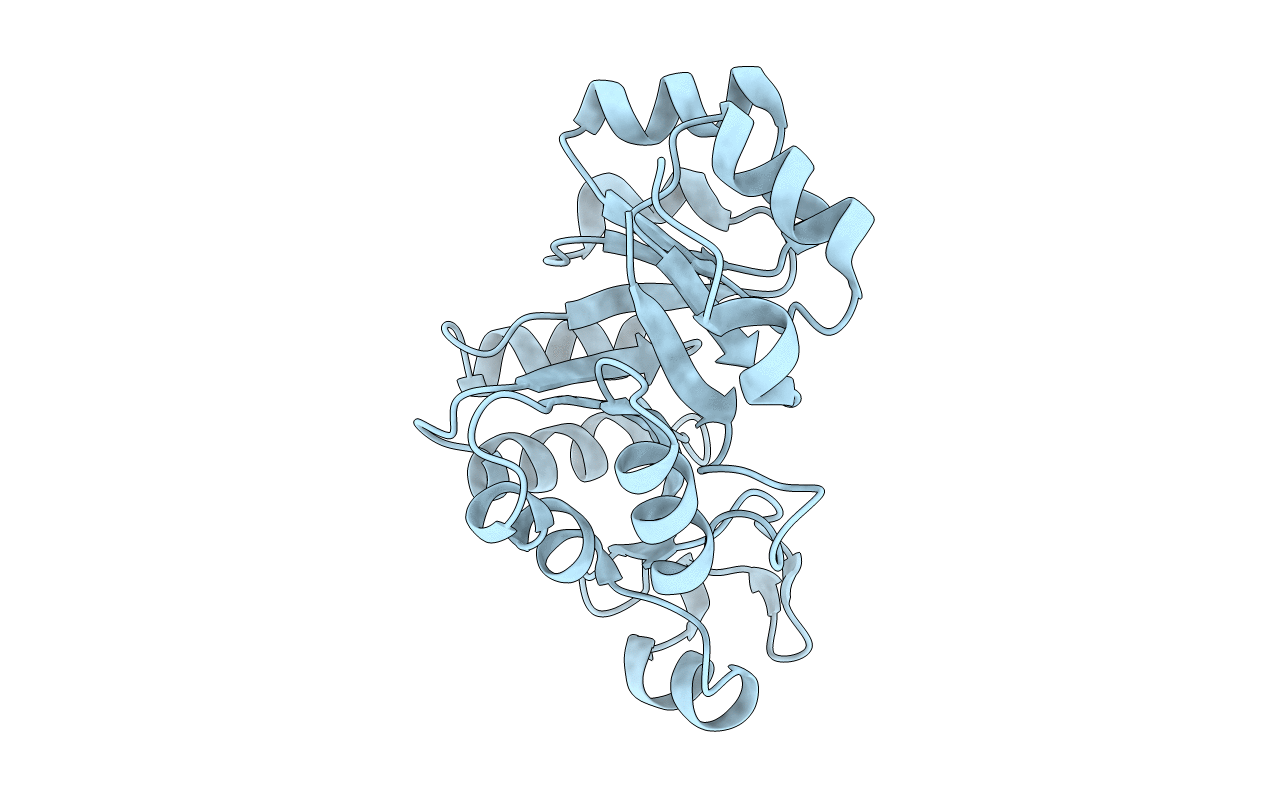 1V8E image