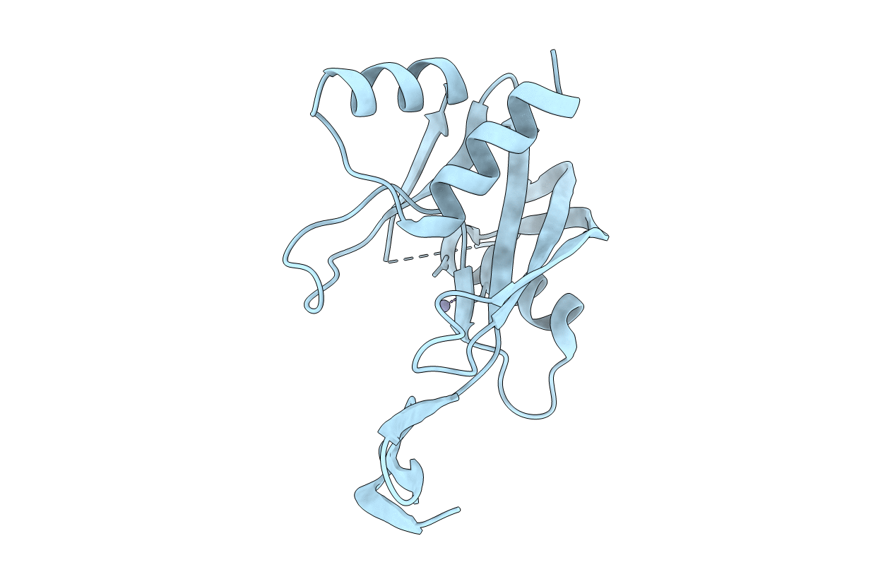 1V8N image