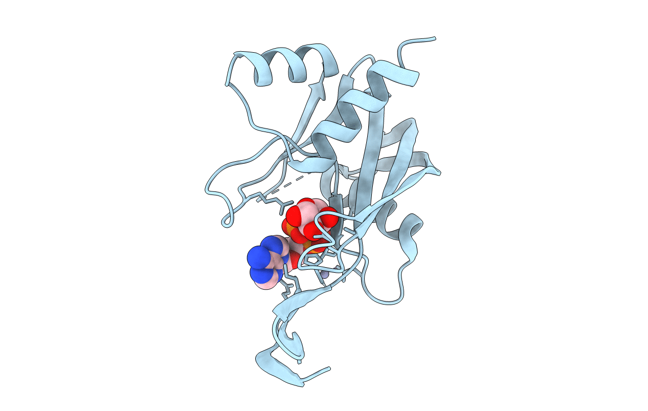 1V8R image