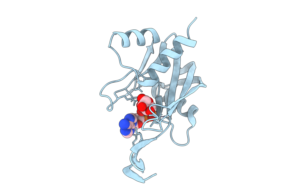 1V8V image