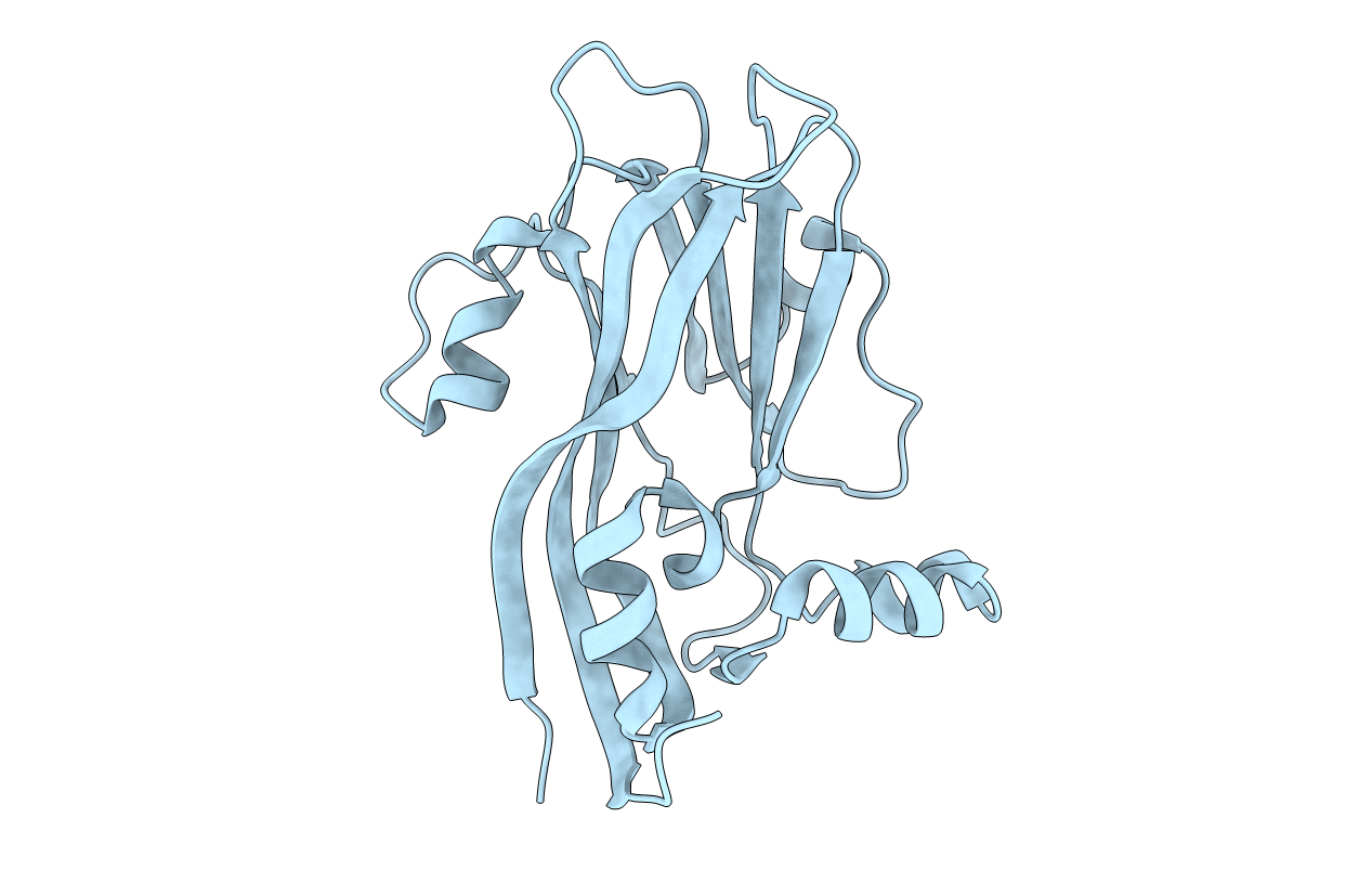 1VB2 image