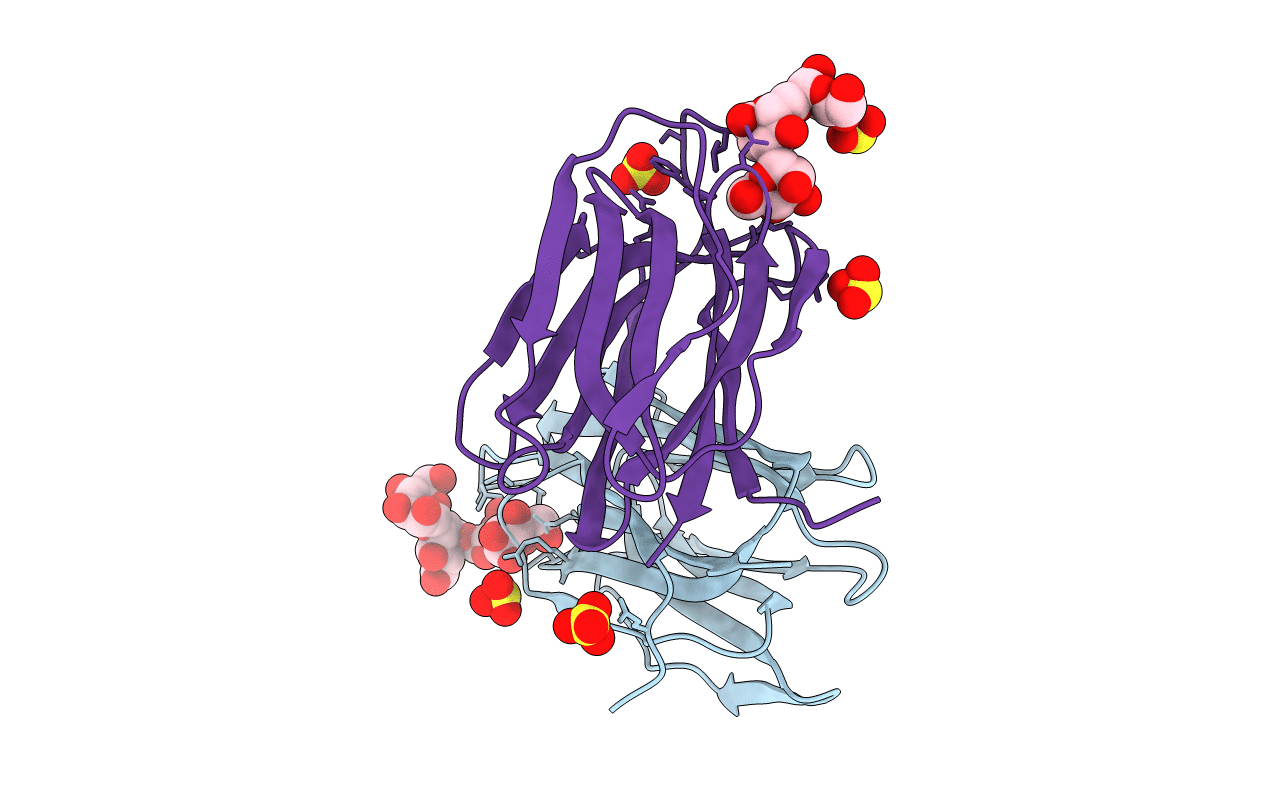 1VBP image