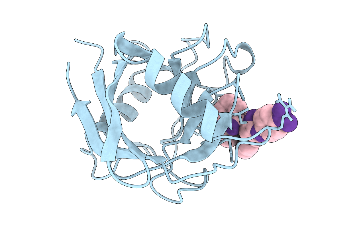 1VBS image