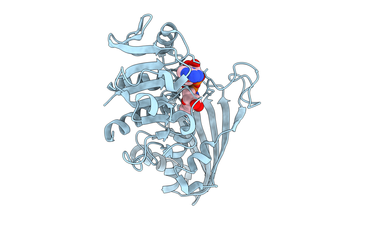1VC2 image