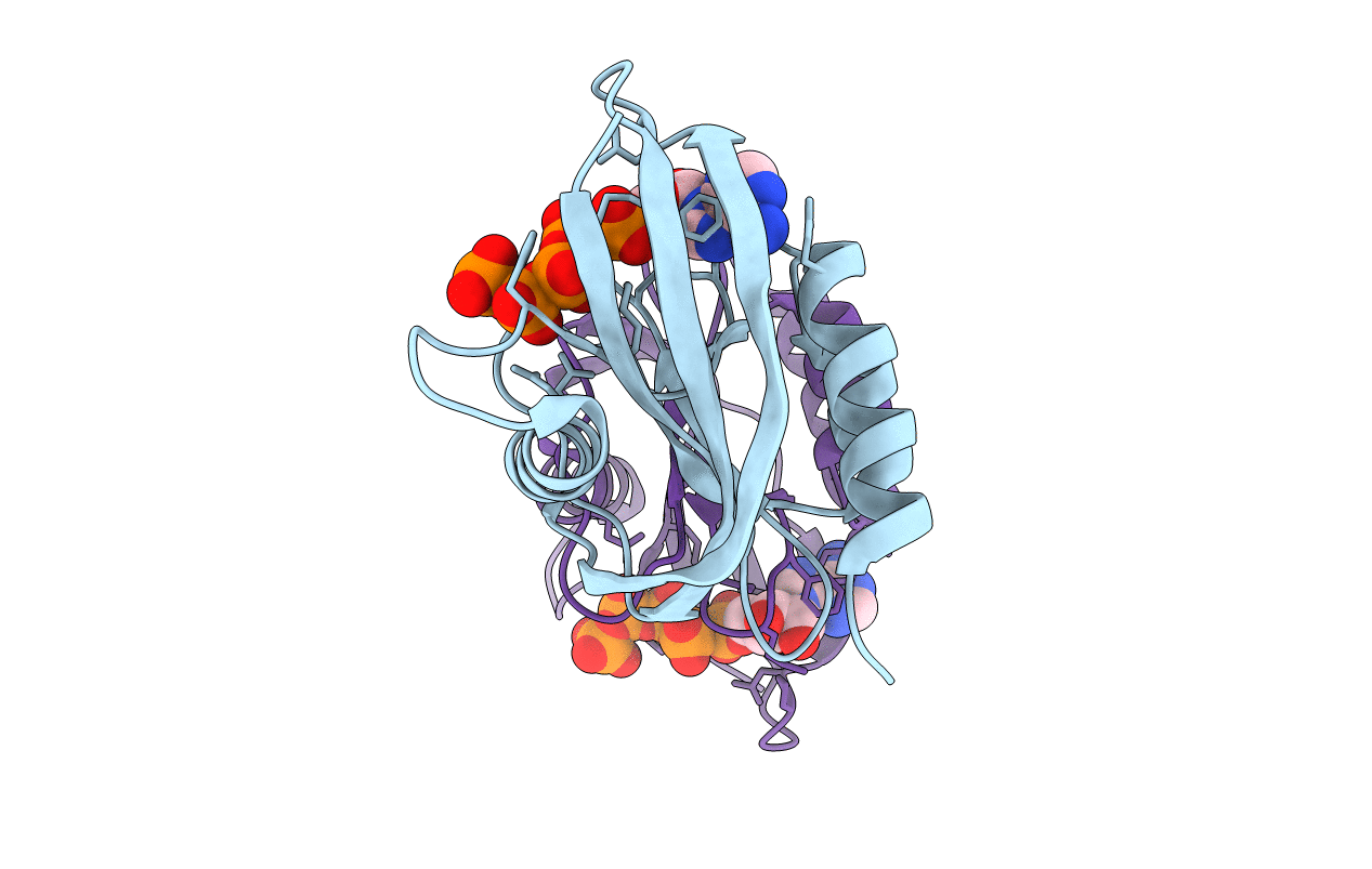 1VC8 image