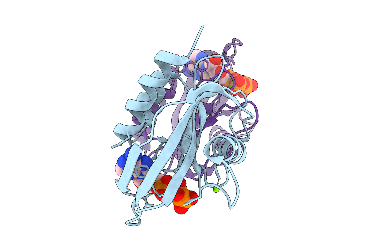 1VC9 image