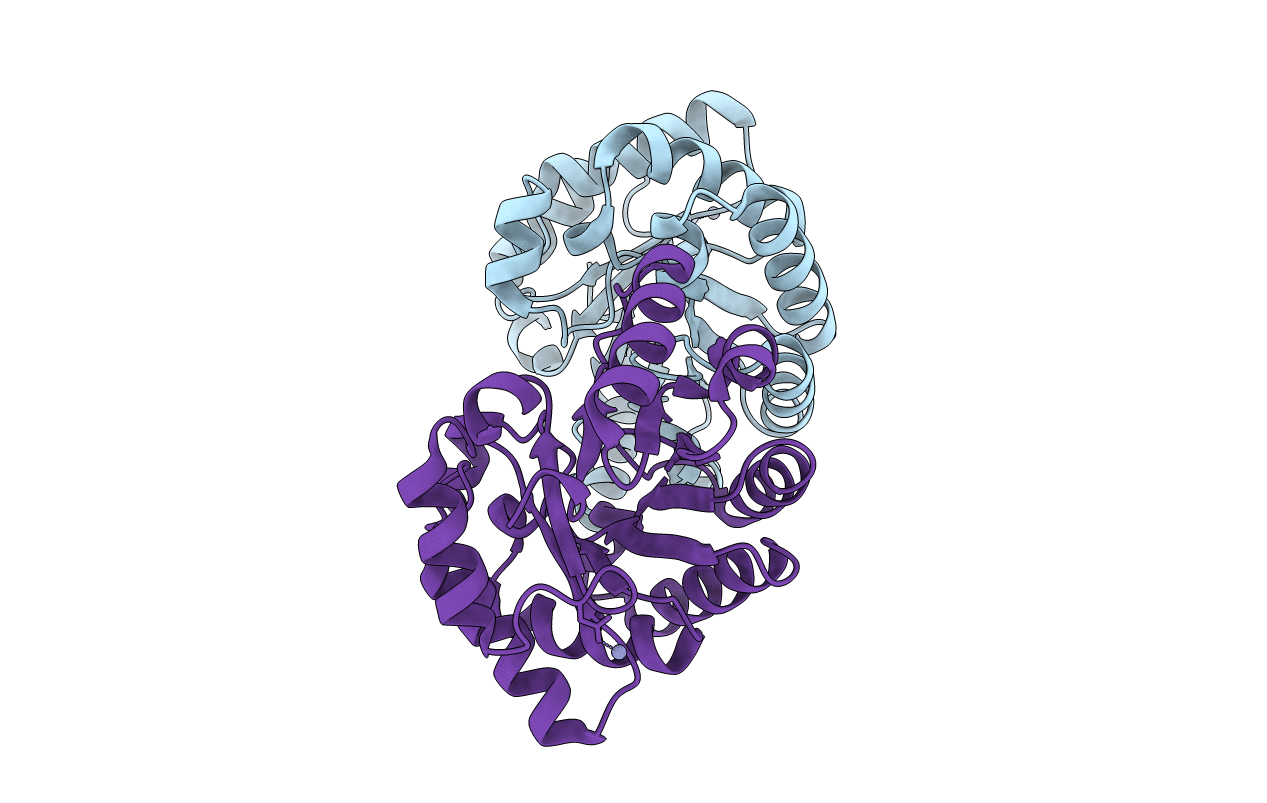1VCV image