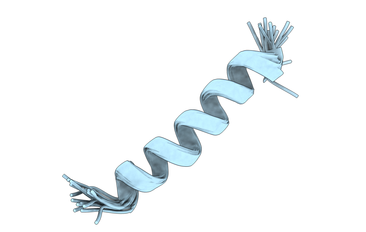 1VDB image