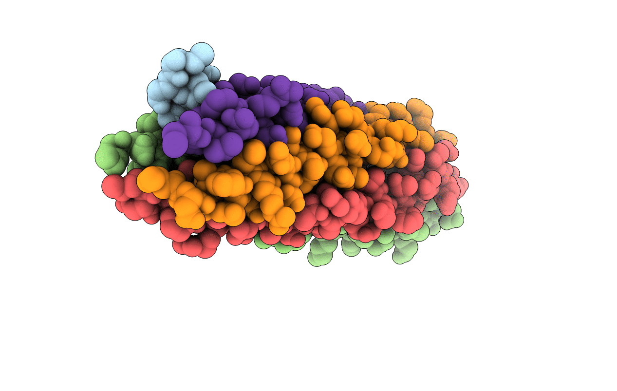 1VDF image