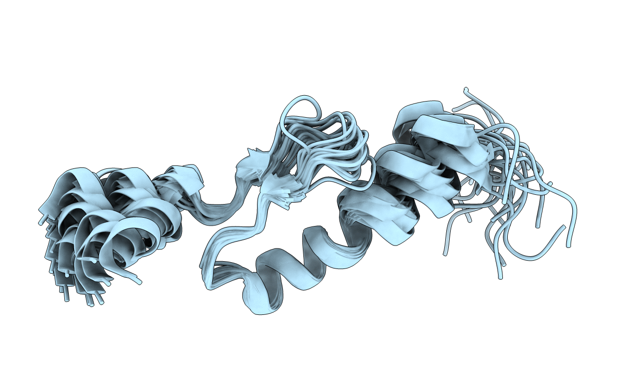 1VDJ image