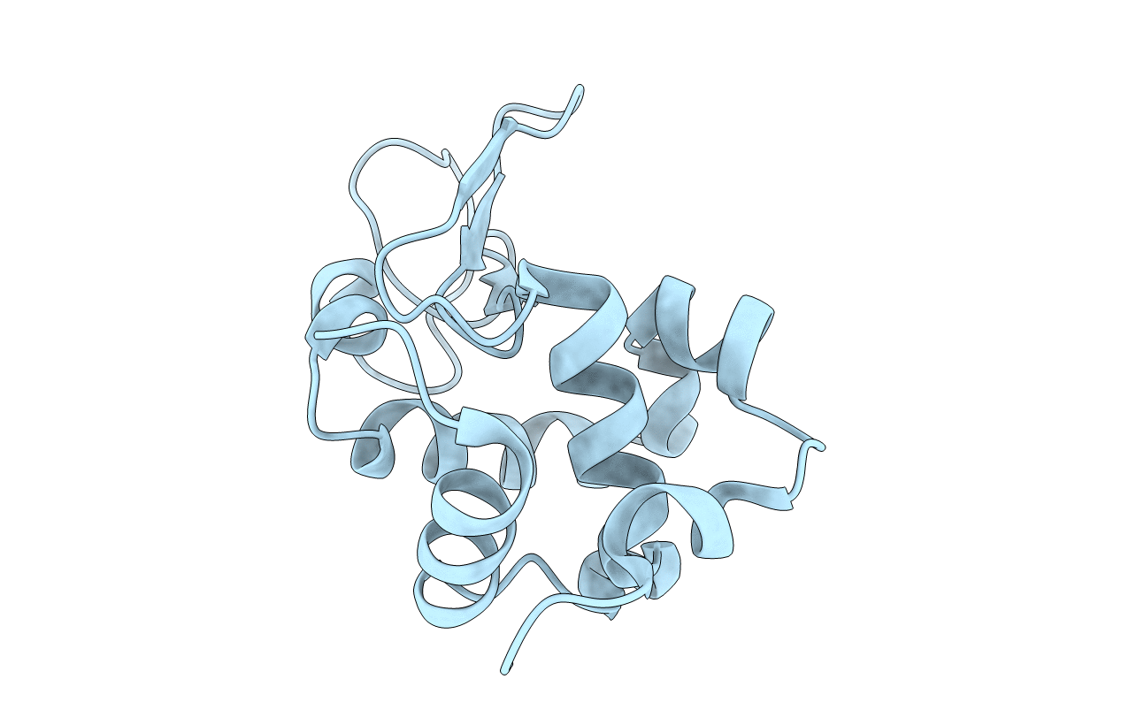 1VDS image