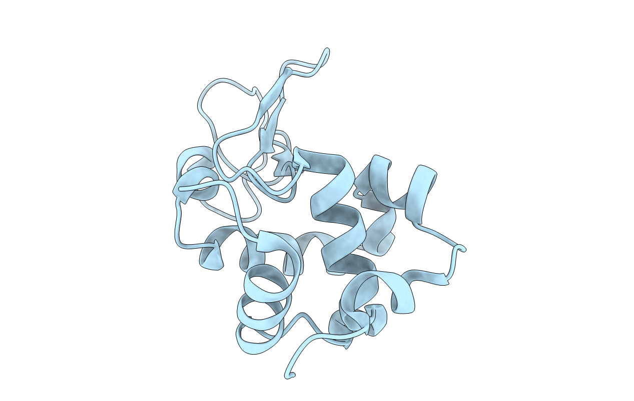 1VDT image