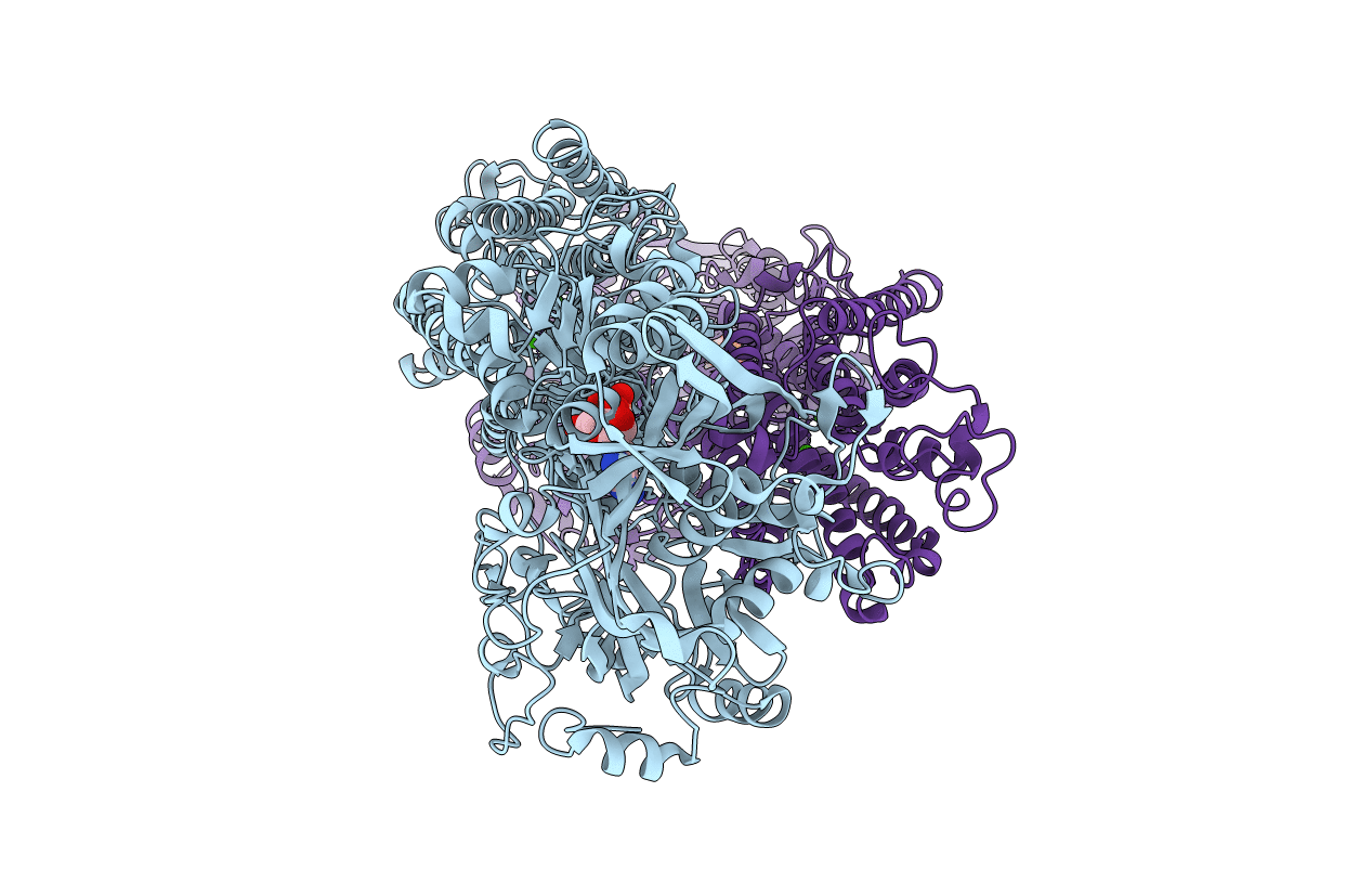 1VFP image