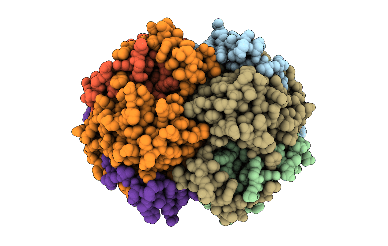 1VGG image