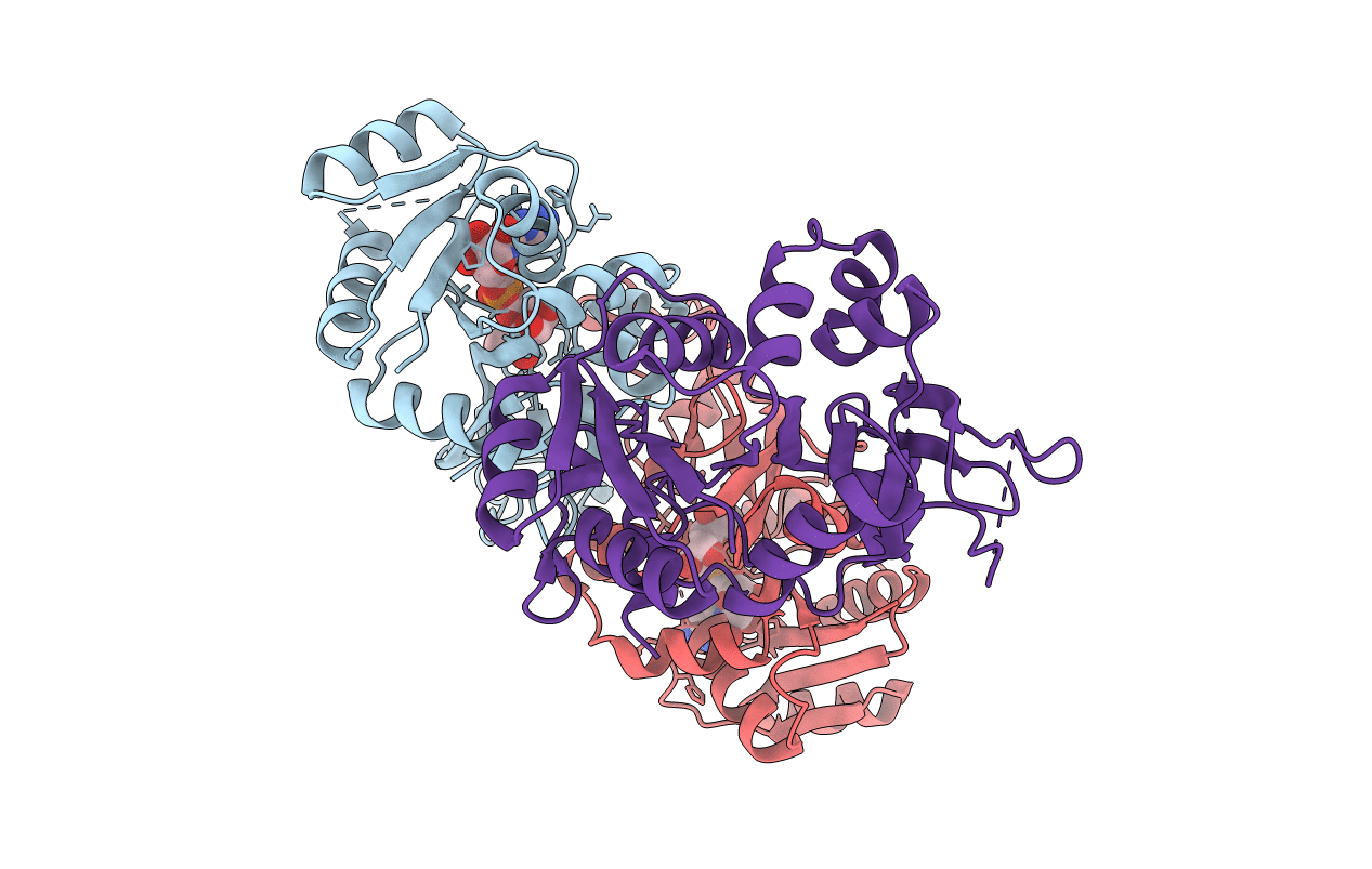 1VH3 image