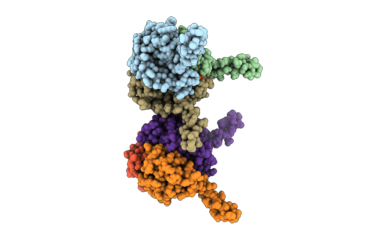 1VH8 image
