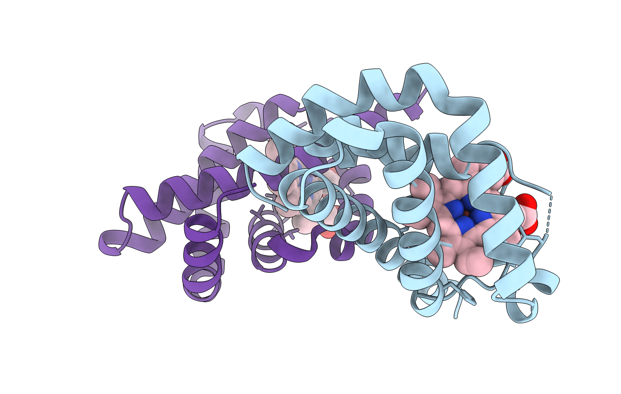 1VHB image