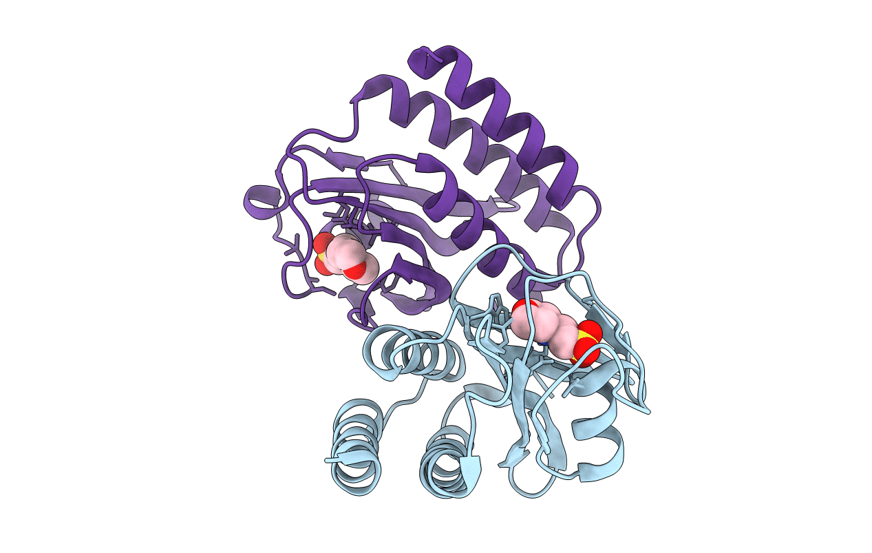 1VHM image
