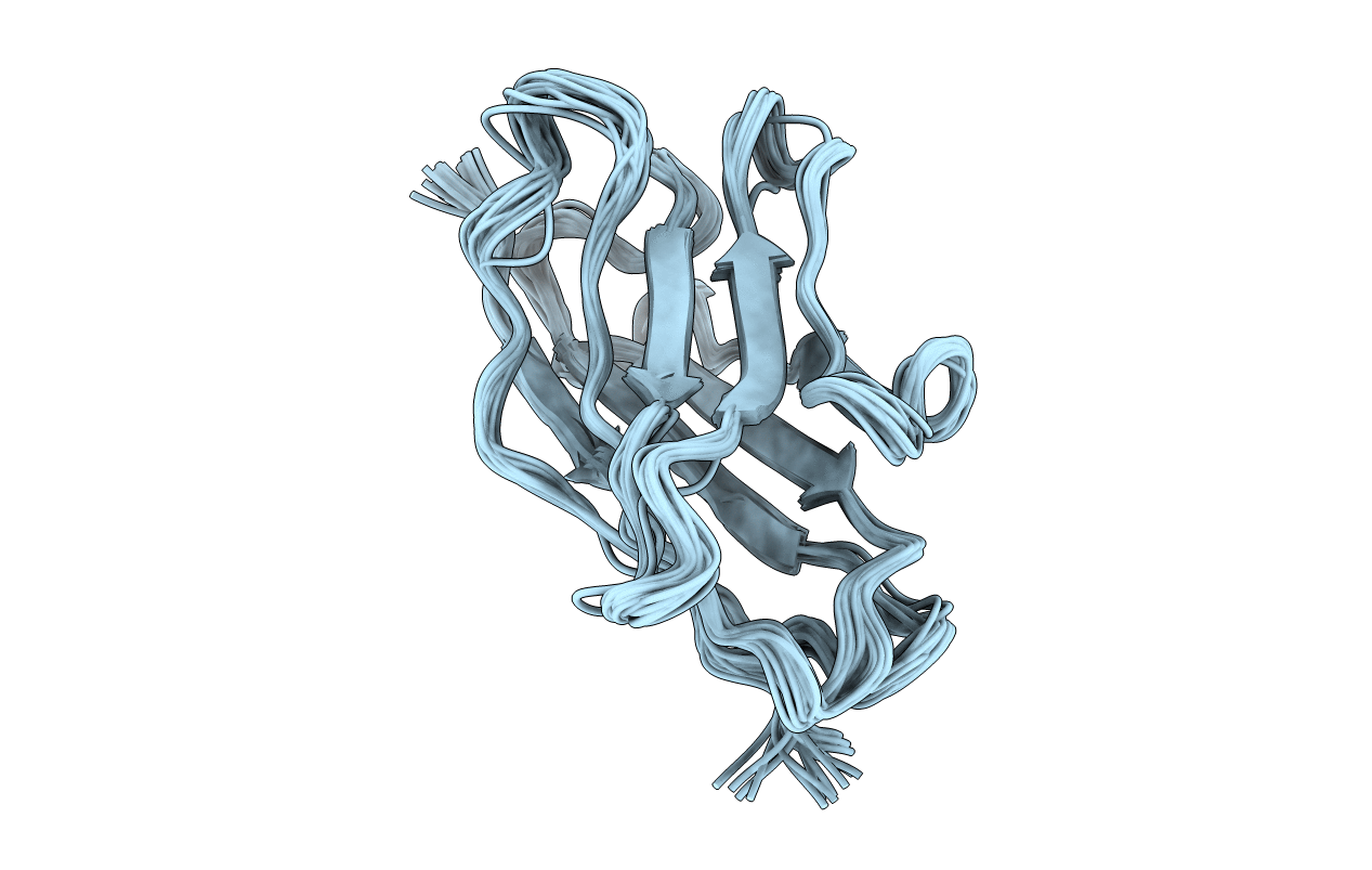 1VHP image