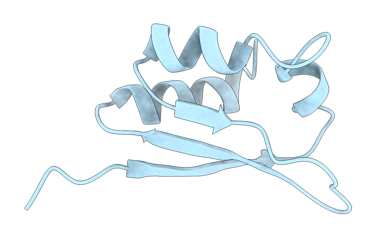 1VIH image