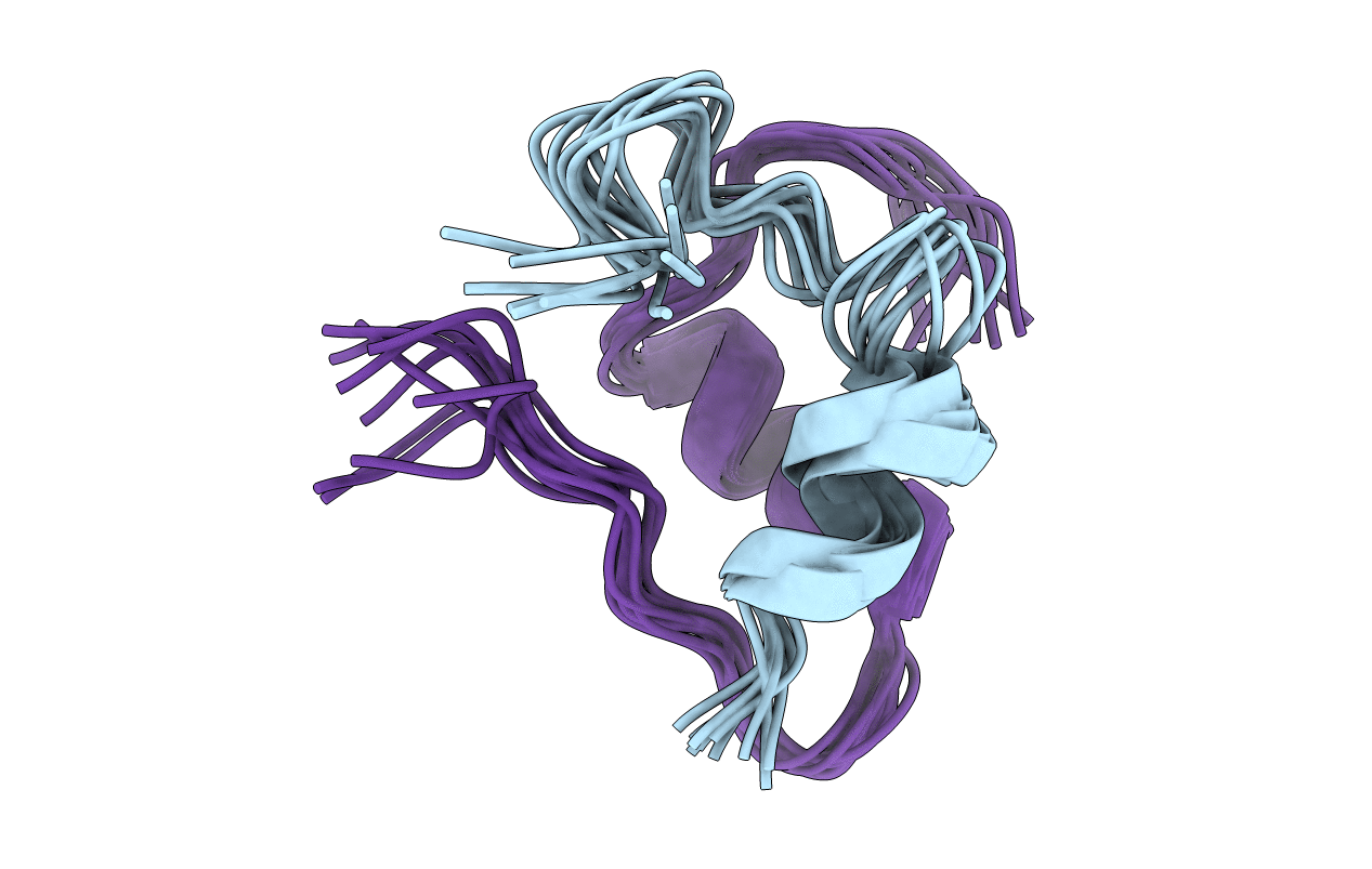 1VKT image