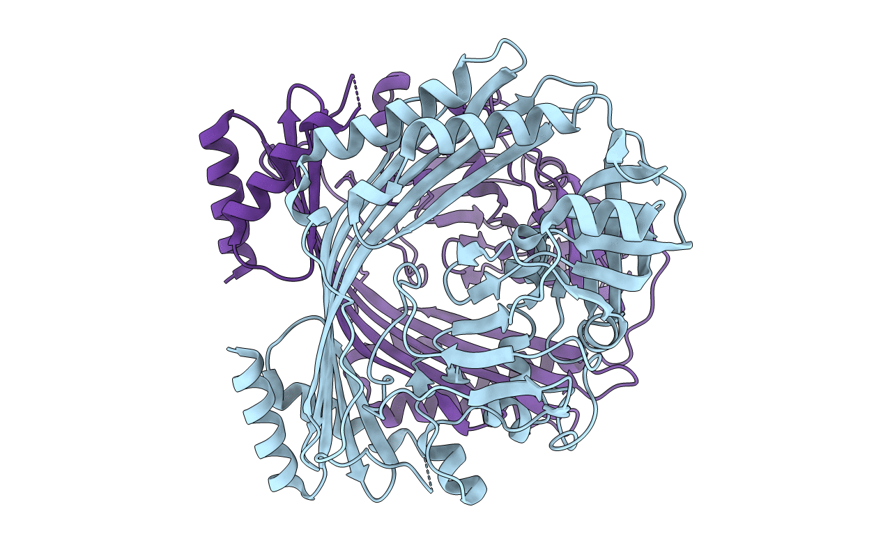 1VL4 image