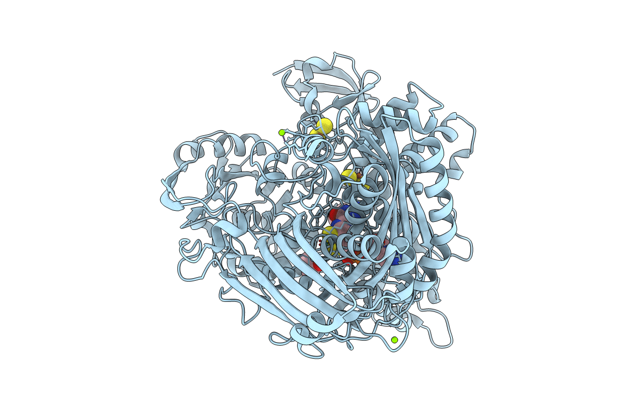 1VLB image