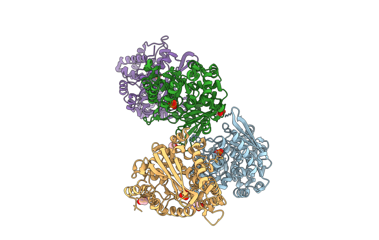 1VLP image