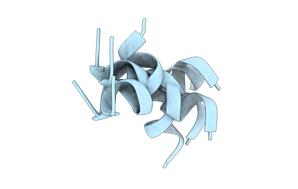 1vm2 image