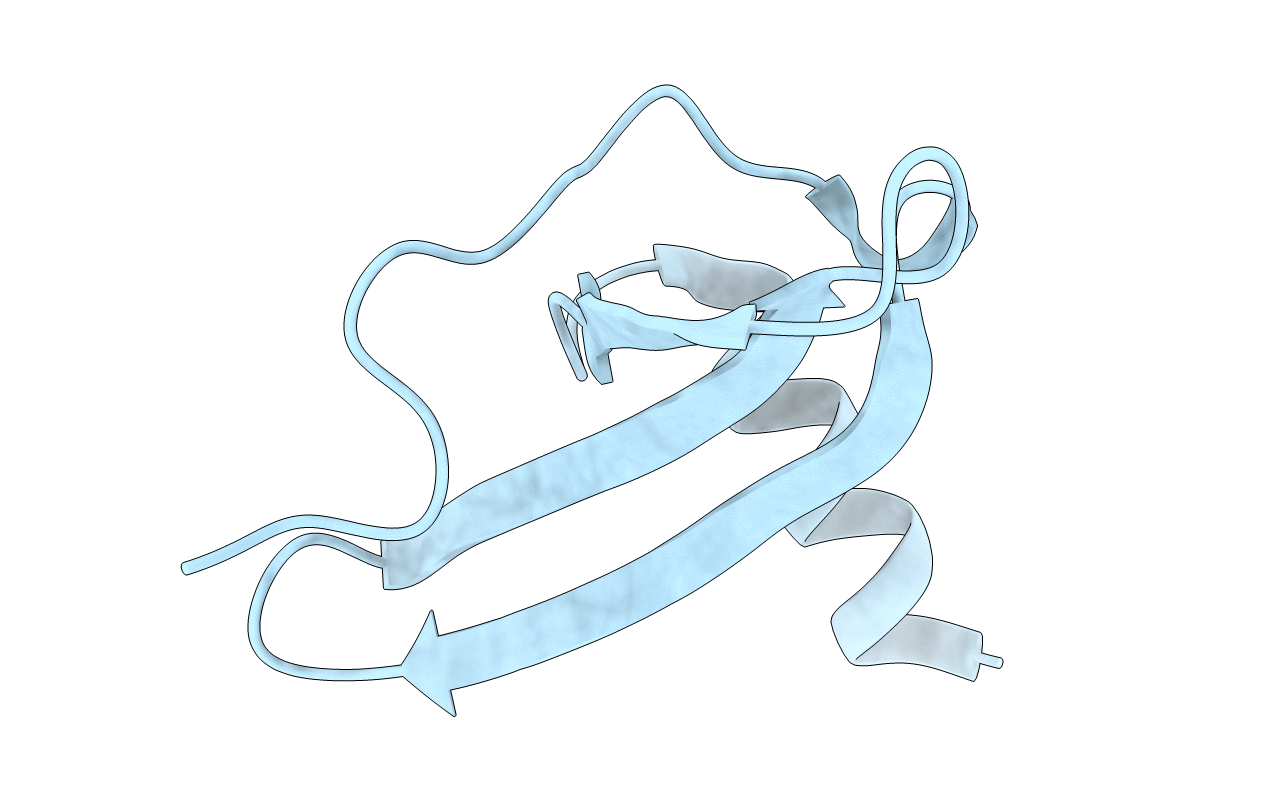 1VMC image